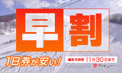 アソビュー・早割１日券